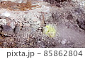 Steaming sulfuric fumaroles for futuristic sci-fi landscapes 85862804