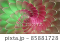 Abstract flower bloom closeup 85881728