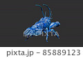 CG Turntable of Blue Crawfish Model 85889123