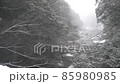未開發地區的Kazura橋的冬季風景（降雪期間）[德島縣三好市西屋] 85980985