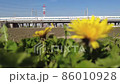 東海道新幹線とタンポポ 86010928