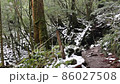 冬の屋久島の風景 86027508