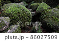 冬の屋久島の風景 86027509