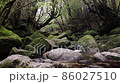 冬の屋久島（白谷雲水峡）の風景 86027510