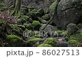 冬の屋久島（白谷雲水峡）の風景 86027513