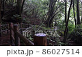 冬の屋久島（ヤクスギランド）の風景 86027514