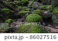 冬の屋久島（白谷雲水峡）の風景 86027516
