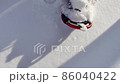 穿著雪鞋穿過新鮮的雪 86040422