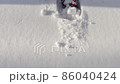 穿著雪鞋穿過新鮮的雪 86040424