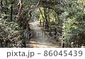 陽光明媚的冬季公園，微風吹拂的長廊 86045439