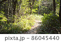 陽光明媚的冬季公園，微風吹拂的長廊 86045440