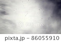 煙霧背景分形噪聲 86055910