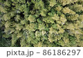 ドローン空撮森林 86186297