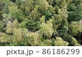 ドローンによる空撮 86186299