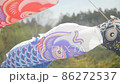 北海道松前町の鯉のぼり アップ 86272537