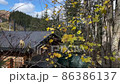 Autumn, leaves on the trees in the wind. Old abandoned wooden house 86386137