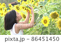 happy little asian girl with hat having fun among blooming sunflowers garden. child and sunflower, summer, nature and smiling. summer holiday. little girl plays with sunflowers. 86451450