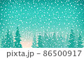 Snowfall, Snow Falls on the Spruce 86500917