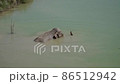 The Republic of Crimea. The city of Belogorsk. July 17, 2021. An elephant is swimming in a pond, and a pelican is swimming nearby. The Republic of Crimea. The city of Belogorsk. July 17, 2021. An elephant is swimming in a pond, and a pelican is swimming nearby. 86512942