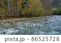 Autumn forest and mountain river 86525728
