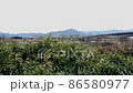 川の空撮 86580977