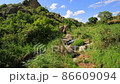 mountain valley with a river surrounded by reeds and trees among rocks and stones on a sunny summer day, the wind sways the plants, the view is spinning around. 86609094