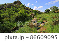 flow of a mountain stream of river among the leaves of reeds with stones at the foot of the rock layers of granite illuminated by sunlight on a summer day against the background of a blue sky, nobody. 86609095