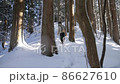 Snow scene mountain hut 86627610