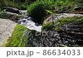 the current flow of water in the stream of a mountain river falling from stone blocks overgrown with moss and reeds on a sunny summer day wildlife close-up. 86634033