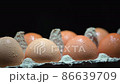 Eggs covered with water drops close up in egg protective container on black background. Foreground and background in blur. Focus in the center. 86639709