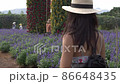 Young woman running in purple flowers field in Thailand. Travel and adventure concept. Woman running arms wide open in nature 86648435