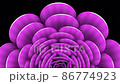 Pink flower. Petals with an unusual animated pattern. 86774923