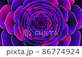 Lilac flower. The play of light on the petals. 86774924