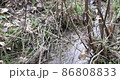 Running stream with clear water in the forest in the mountainous area in late autumn 86808833