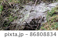 Running stream with clear water in the forest in the mountainous area in late autumn 86808834