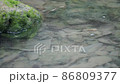 Scenery of brackish water in Miyakojima, Okinawa Prefecture Fish 86809377