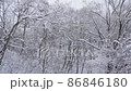 搖搖欲墜的雪 86846180