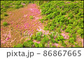 Beautiful Miyama Kirishima by climbing the Kirishima mountain range 86867665