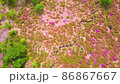 Beautiful Miyama Kirishima by climbing the Kirishima mountain range 86867667