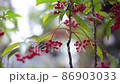 南滕03 86903033