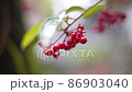 南十01 86903040