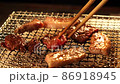 焼肉　バーベキュー 2 86918945