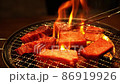 網焼き焼肉と炎2 86919926