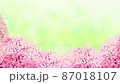 桜 桜 87018107