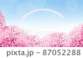 桜(背景素材) 桜(背景素材) 87052288