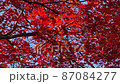紅葉6 87084277