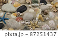 Panorama. Beach background made of stones, shells and stars 87251437