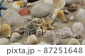 Zoom. Beach background made of stones, shells and stars 87251648