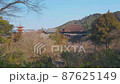 清水の舞台と三重塔 87625149