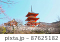 清水寺の三重塔を望む 87625182
